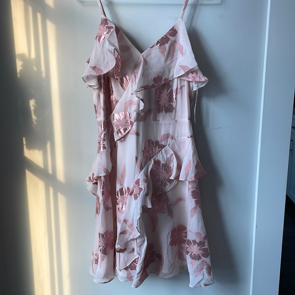 UNWORN Rebecca Taylor Met Flyer Dress - 0